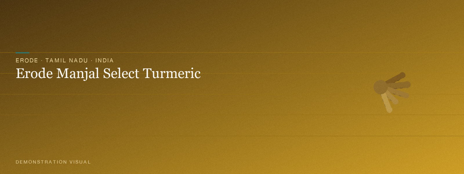 Erode Manjal Select Turmeric — Hero