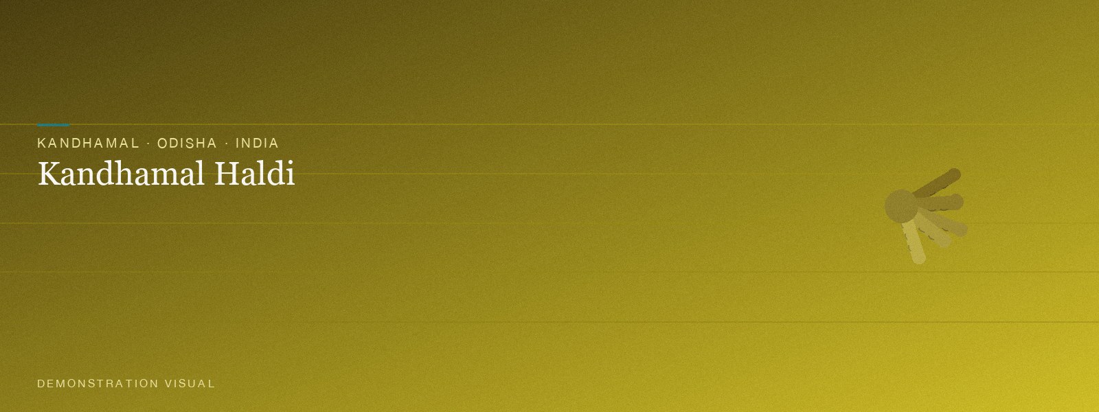Kandhamal Haldi (Tribal Organic) — Hero